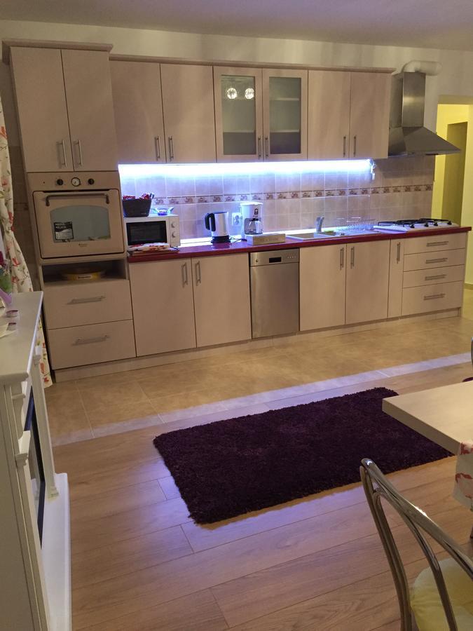 Xenopol Grand Studio Apartment Сибиу Екстериор снимка