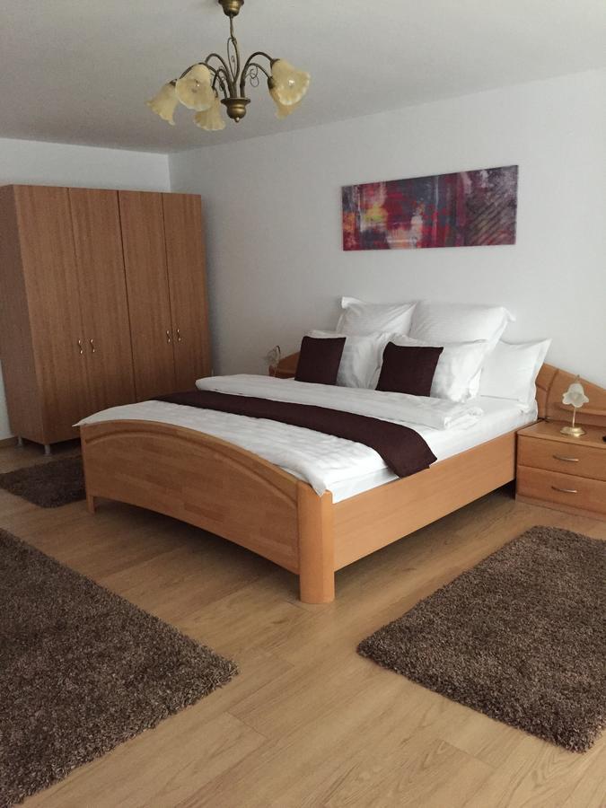 Xenopol Grand Studio Apartment Сибиу Екстериор снимка