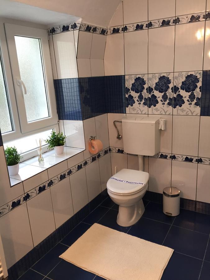 Xenopol Grand Studio Apartment Сибиу Екстериор снимка